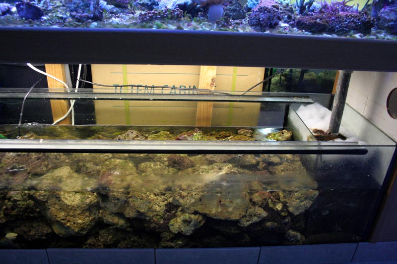 Killikus&reg; Fotographie